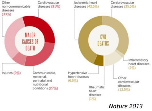 NTU研發革命性AI工具 基于先進理論與算法，賦能心電圖精準解讀